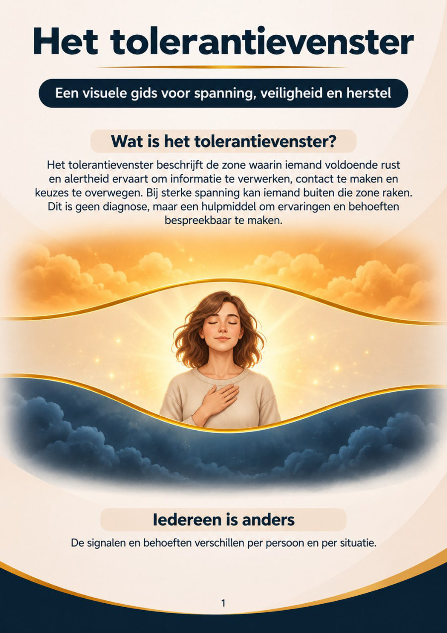 Omslag van Het tolerantievenster