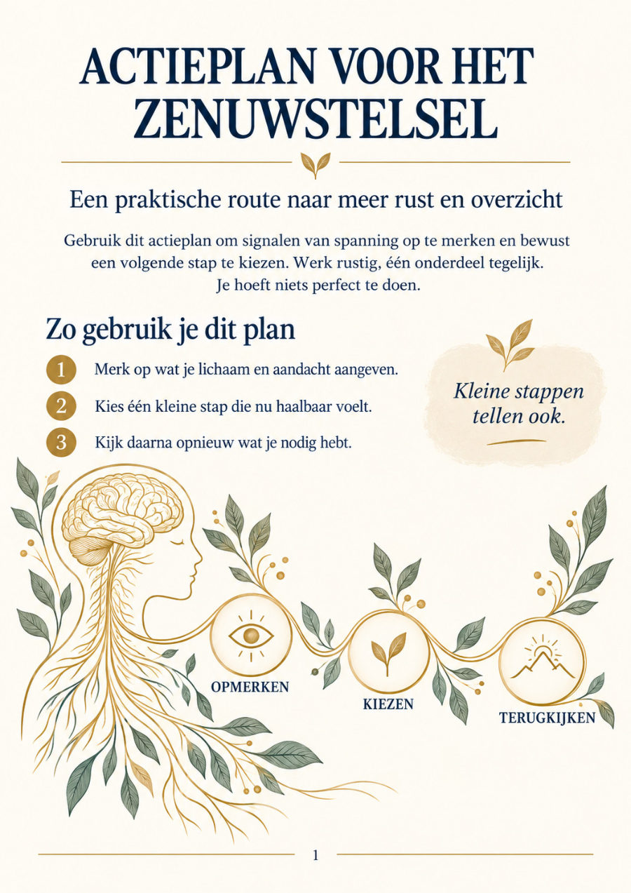 Omslag van Actieplan voor het zenuwstelsel
